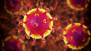 Casino online e coronavirus: meno preoccupazioni per chi gioca su internet